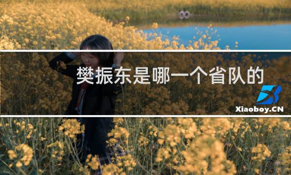 樊振东是哪一个省队的