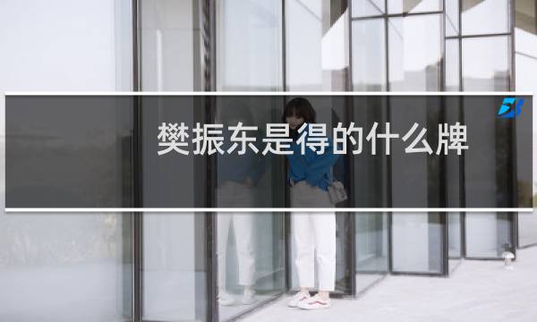 樊振东是得的什么牌