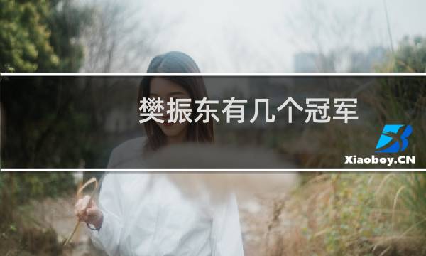 樊振东有几个冠军
