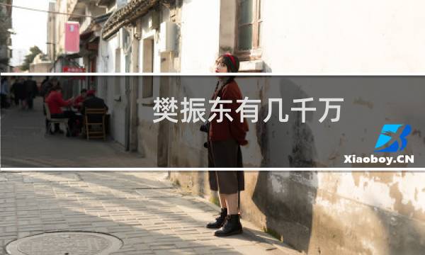 樊振东有几千万