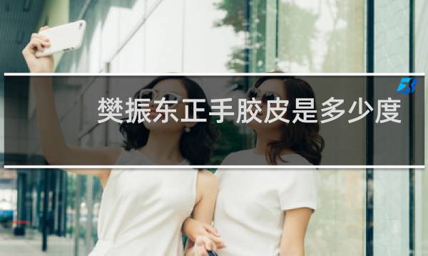 樊振东正手胶皮是多少度
