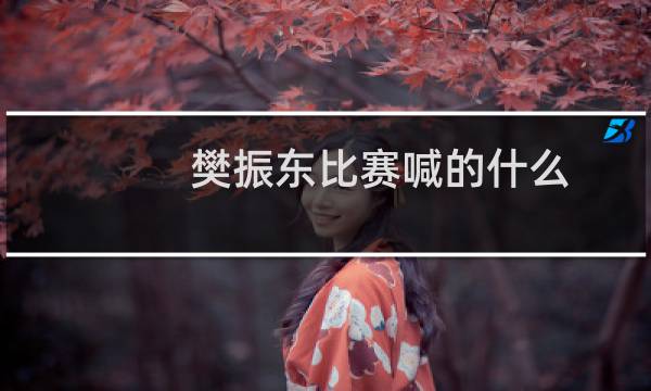 樊振东比赛喊的什么