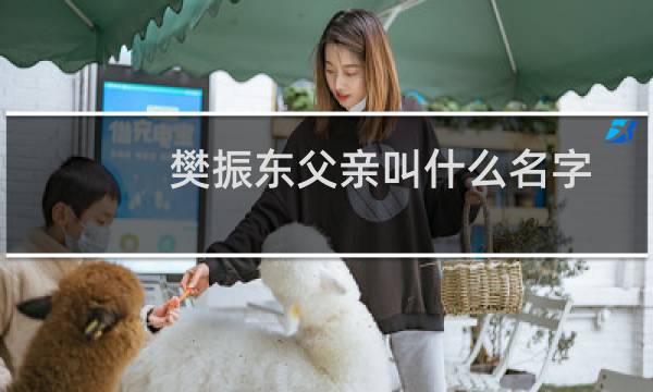 樊振东父亲叫什么名字
