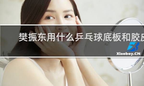 樊振东用什么乒乓球底板和胶皮