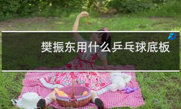 樊振东用什么乒乓球底板