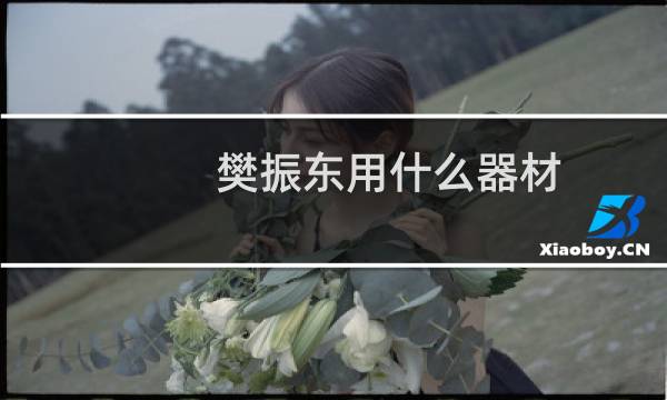 樊振东用什么器材