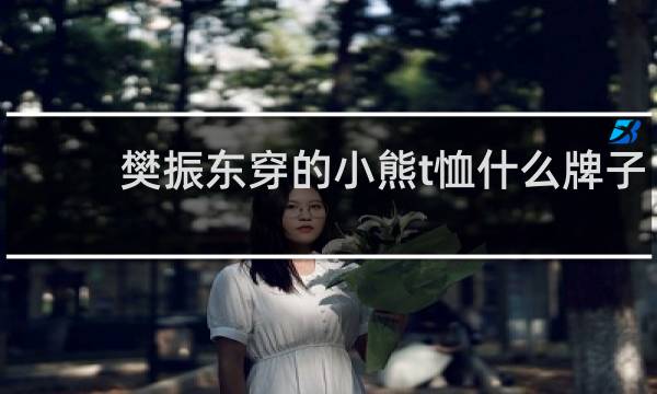 樊振东穿的小熊t恤什么牌子
