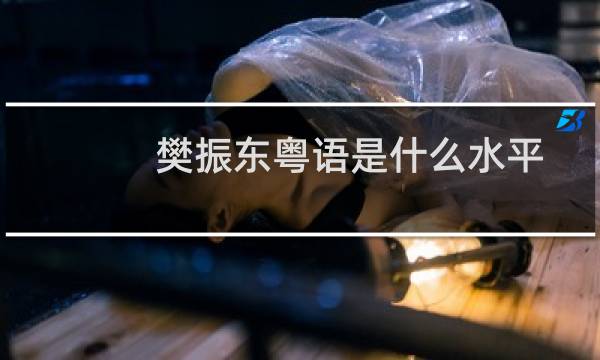 樊振东粤语是什么水平