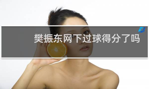 樊振东网下过球得分了吗