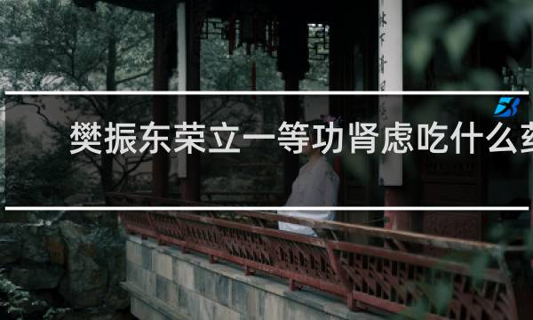 樊振东荣立一等功肾虑吃什么药