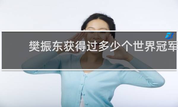 樊振东获得过多少个世界冠军