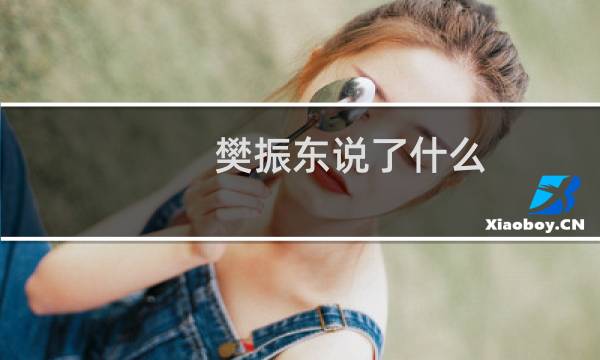樊振东说了什么