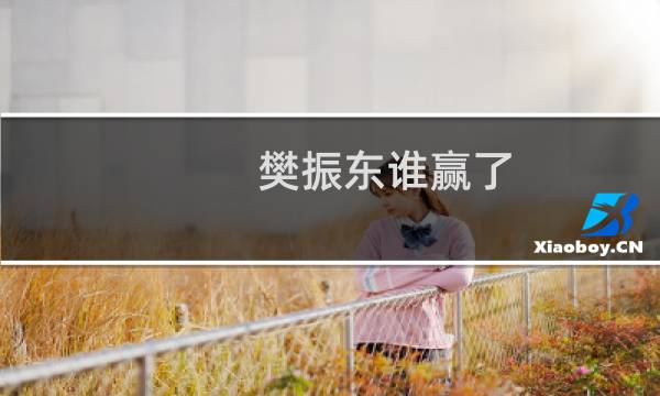 樊振东谁赢了