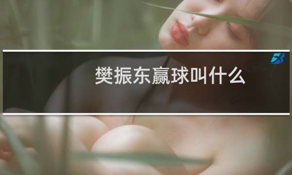 樊振东赢球叫什么
