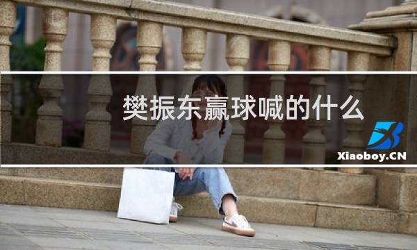 樊振东赢球喊的什么
