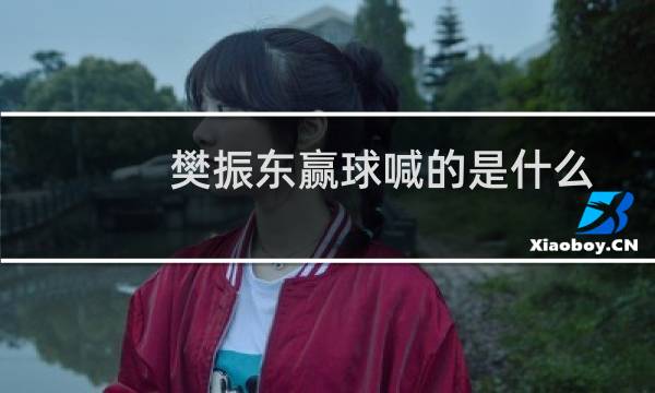樊振东赢球喊的是什么
