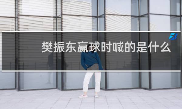 樊振东赢球时喊的是什么