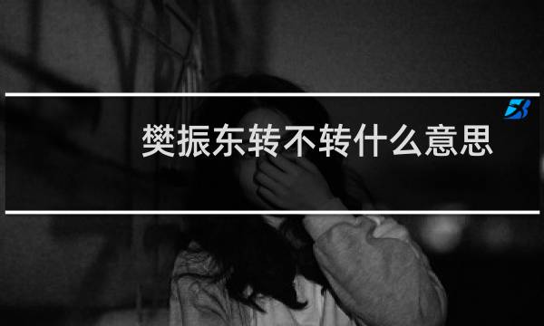 樊振东转不转什么意思