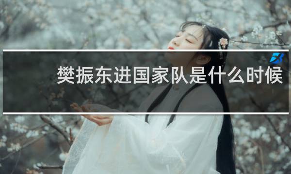 樊振东进国家队是什么时候