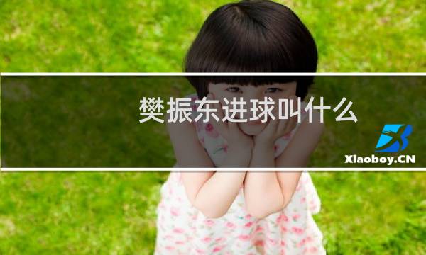 樊振东进球叫什么