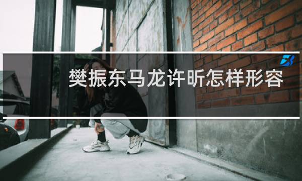 樊振东马龙许昕怎样形容