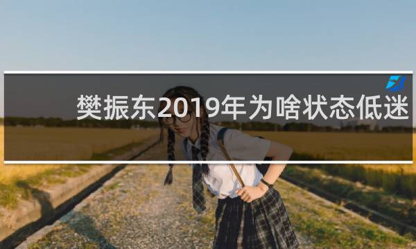 樊振东2019年为啥状态低迷