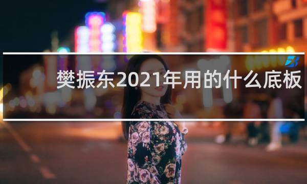 樊振东2021年用的什么底板和套胶