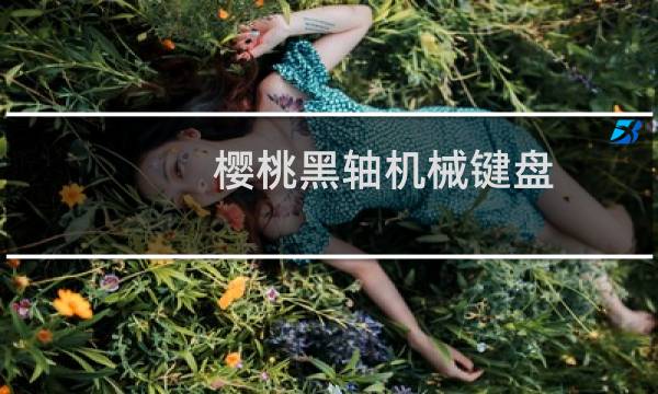 樱桃黑轴机械键盘图片