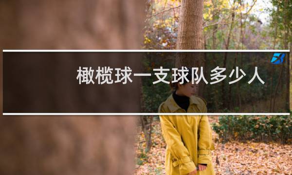 橄榄球一支球队多少人