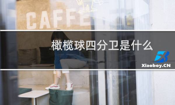 橄榄球四分卫是什么