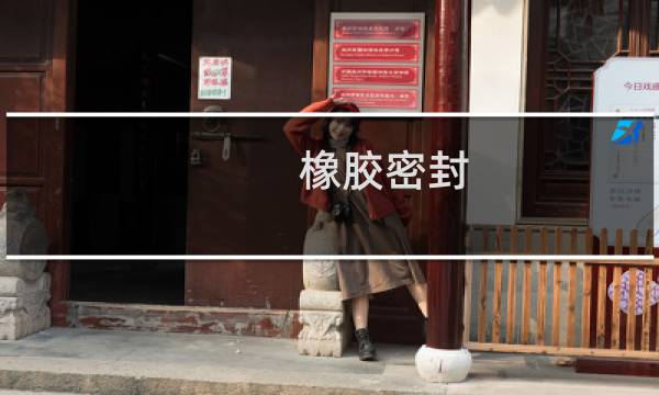 橡胶密封图片