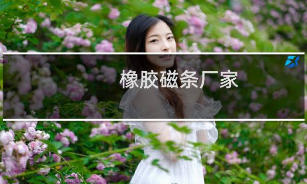 橡胶磁条厂家