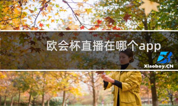 欧会杯直播在哪个app