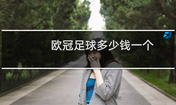 欧冠足球多少钱一个