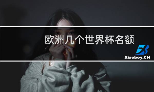 欧洲几个世界杯名额