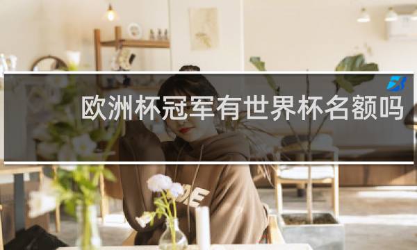 欧洲杯冠军有世界杯名额吗