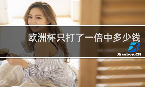 欧洲杯只打了一倍中多少钱