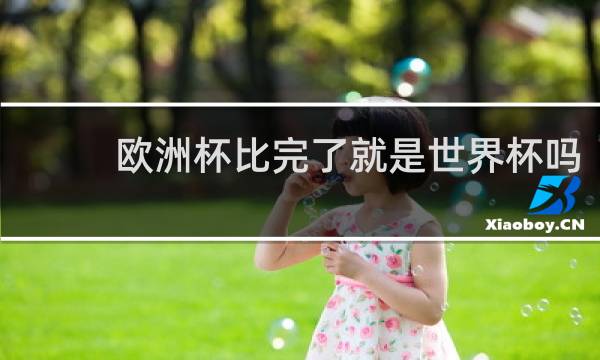 欧洲杯比完了就是世界杯吗