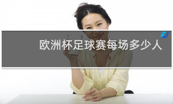 欧洲杯足球赛每场多少人