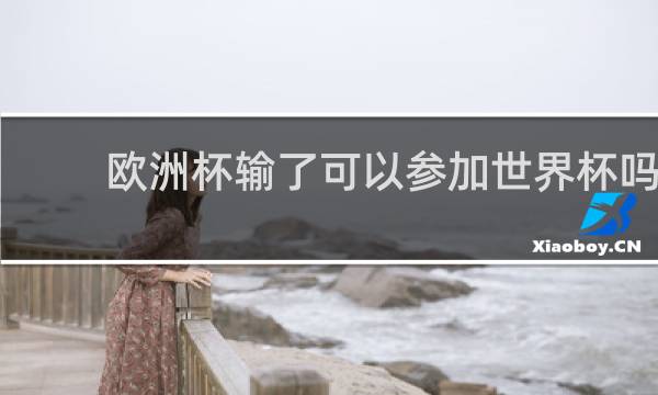 欧洲杯输了可以参加世界杯吗