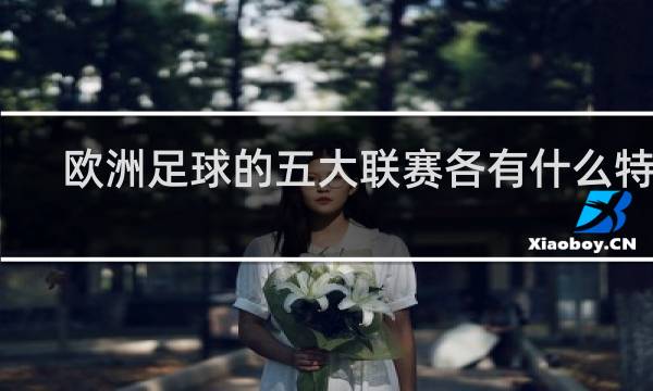 欧洲足球的五大联赛各有什么特点