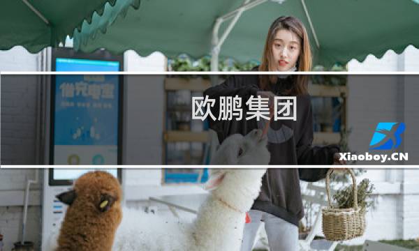 欧鹏集团