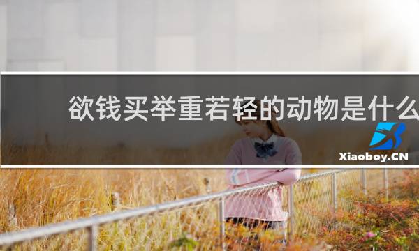 欲钱买举重若轻的动物是什么