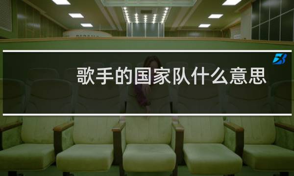 歌手的国家队什么意思