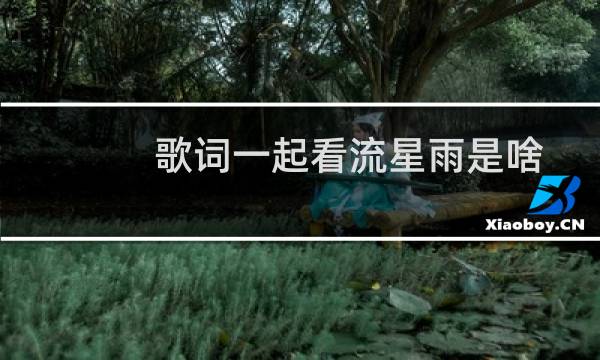 歌词一起看流星雨是啥歌（一起又看流星雨里的所有歌曲歌名都是什么）图片
