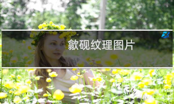 歙砚纹理图片