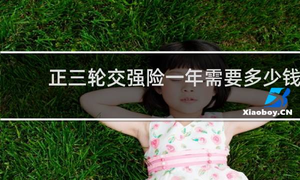正三轮交强险一年需要多少钱