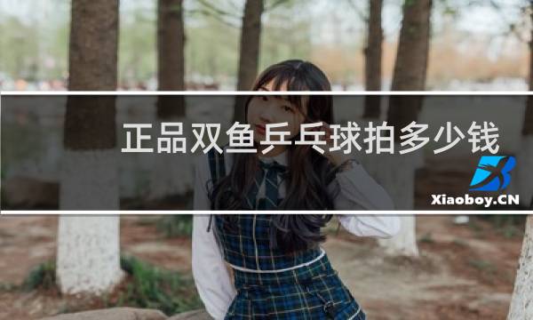正品双鱼乒乓球拍多少钱
