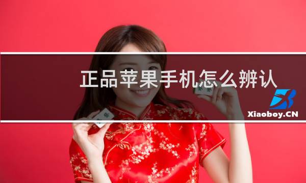 正品苹果手机怎么辨认