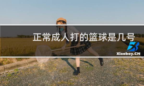 正常成人打的篮球是几号